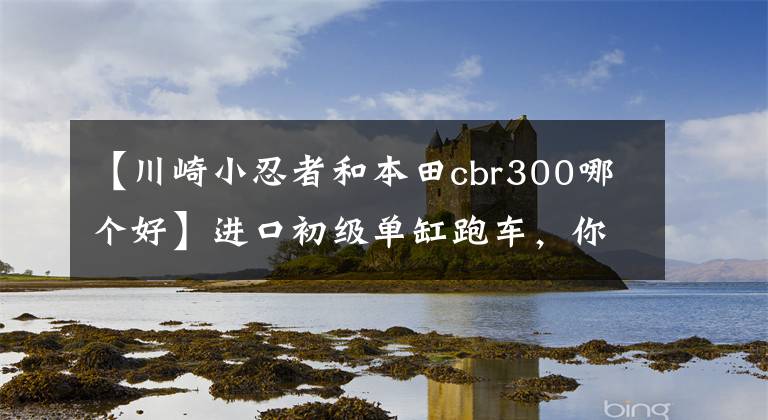 【川崎小忍者和本田cbr300哪个好】进口初级单缸跑车，你会选择谁？