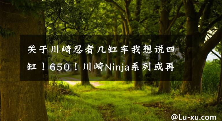 关于川崎忍者几缸车我想说四缸！650！川崎Ninja系列或再添猛将