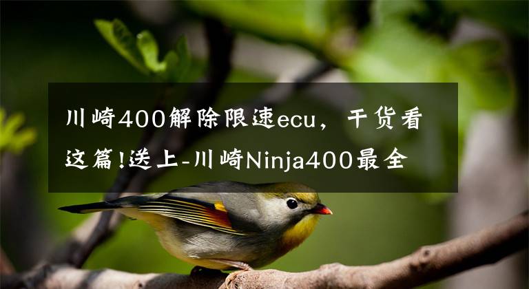 川崎400解除限速ecu，干货看这篇!送上-川崎Ninja400最全测评