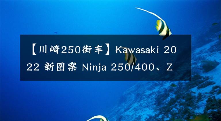 【川崎250街车】Kawasaki 2022 新图案 Ninja 250/400、ZX-25R，Z250/400