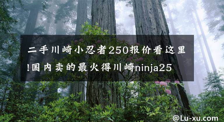 二手川崎小忍者250报价看这里!国内卖的最火得川崎ninja250摩托车，价格便宜，只要4.1万元！