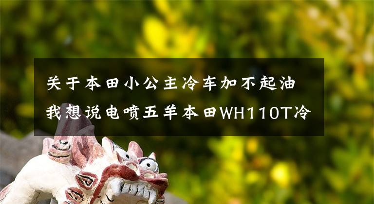 关于本田小公主冷车加不起油我想说电喷五羊本田WH110T冷车加不起油，肯定想不到是这个原因