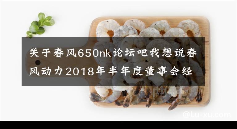 关于春风650nk论坛吧我想说春风动力2018年半年度董事会经营评述