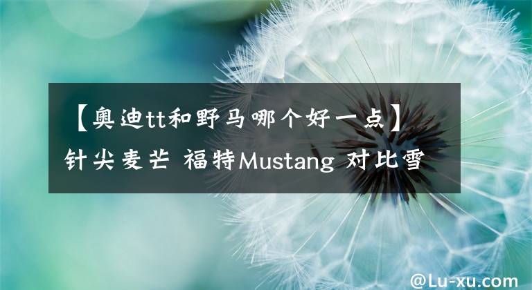 【奥迪tt和野马哪个好一点】针尖麦芒 福特Mustang 对比雪佛兰科迈罗