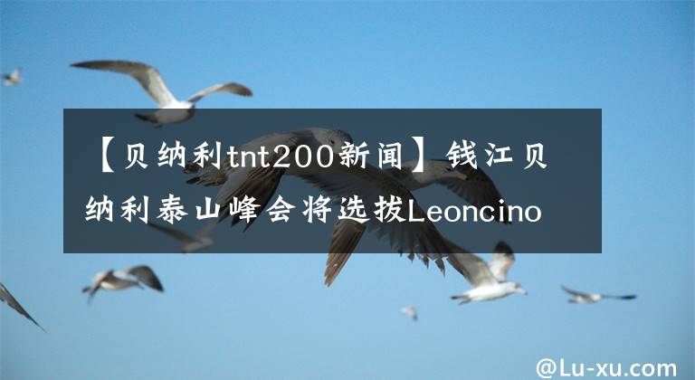【贝纳利tnt200新闻】钱江贝纳利泰山峰会将选拔Leoncino(幼狮)500全球