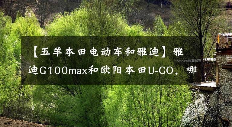 【五羊本田电动车和雅迪】雅迪G100max和欧阳本田U-GO，哪个电动马达会更久？动机更多吗？