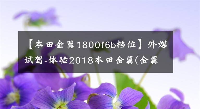 【本田金翼1800f6b档位】外媒试驾-体验2018本田金翼(金翼1800)试乘