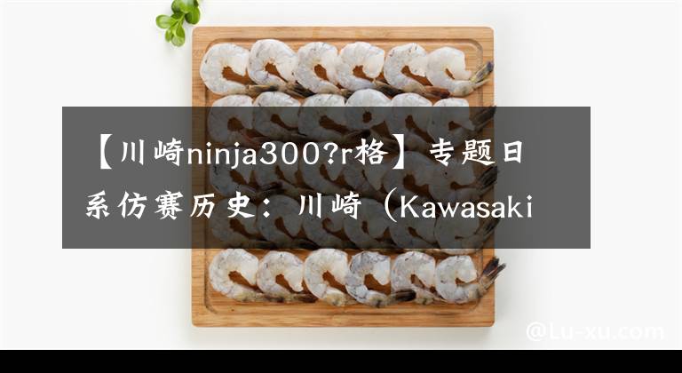 【川崎ninja300?r格】专题日系仿赛历史：川崎（Kawasaki）Ninja 250/300（下）