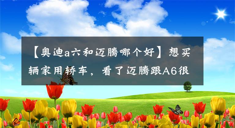 【奥迪a六和迈腾哪个好】想买辆家用轿车，看了迈腾跟A6很纠结。不考虑日系车