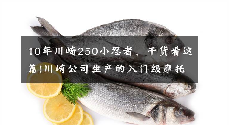 10年川崎250小忍者，干货看这篇!川崎公司生产的入门级摩托车——川崎小忍者250