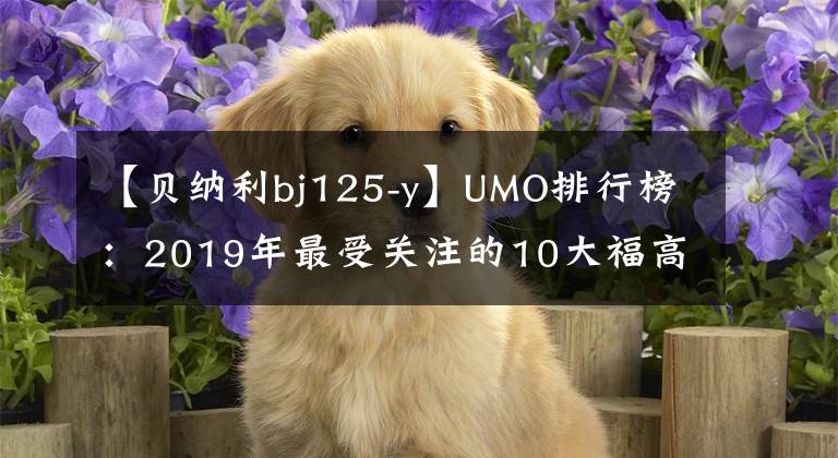 【贝纳利bj125-y】UMO排行榜：2019年最受关注的10大福高奖。