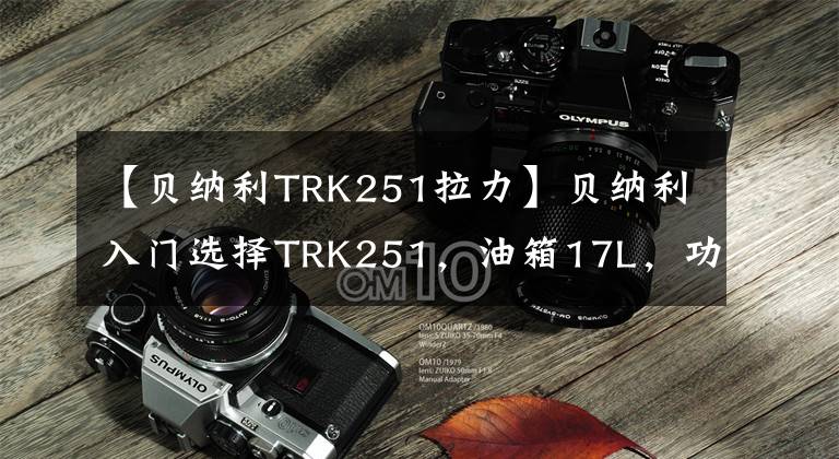 【贝纳利TRK251拉力】贝纳利入门选择TRK251，油箱17L，功率20kw，简便的聚集地和实用性。