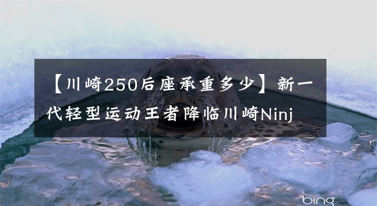 【川崎250后座承重多少】新一代轻型运动王者降临川崎Ninja 250/400