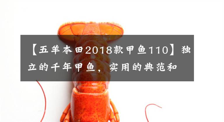 【五羊本田2018款甲鱼110】独立的千年甲鱼，实用的典范和安全构成强迫症，本田嘉鱼评价。