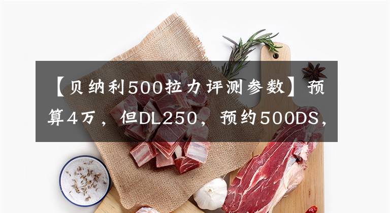 【贝纳利500拉力评测参数】预算4万，但DL250，预约500DS，你看怎么样？