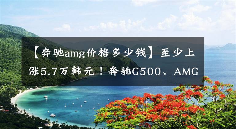 【奔驰amg价格多少钱】至少上涨5.7万韩元！奔驰G500、AMG  G63价格调整、G350已经下降