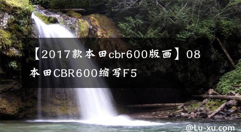 【2017款本田cbr600版画】08本田CBR600缩写F5