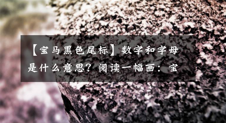 【宝马黑色尾标】数字和字母是什么意思？阅读一幅画：宝马的标签