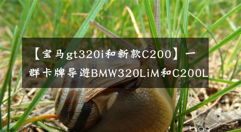 【宝马gt320i和新款C200】一群卡牌导游BMW320LiM和C200L运动如何选择？
