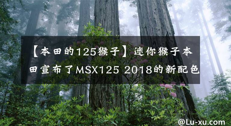 【本田的125猴子】迷你猴子本田宣布了MSX125 2018的新配色。