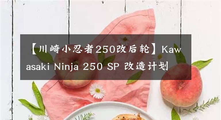 【川崎小忍者250改后轮】Kawasaki Ninja 250 SP 改造计划