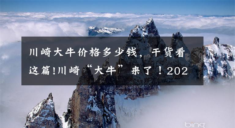 川崎大牛价格多少钱，干货看这篇!川崎“大牛”来了！2021款Ninja ZX-10R售价23.68万