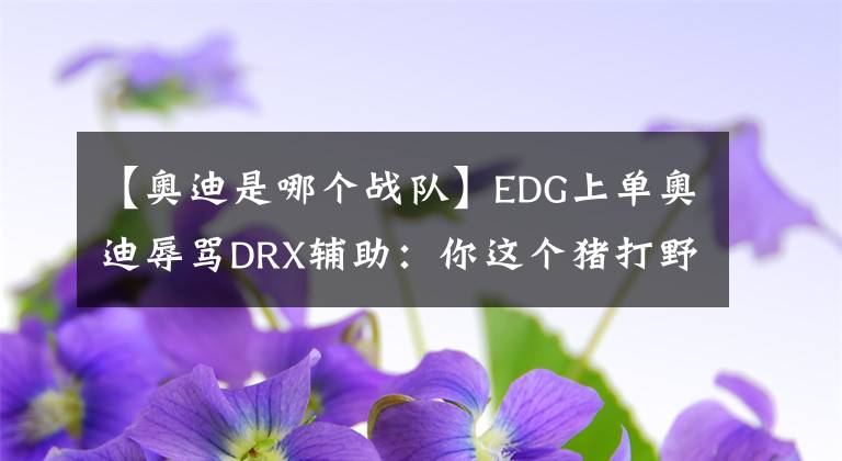 【奥迪是哪个战队】EDG上单奥迪辱骂DRX辅助：你这个猪打野nmsl