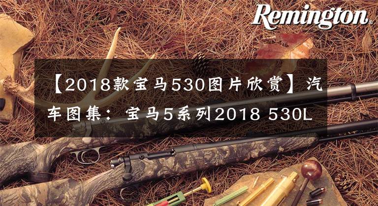 【2018款宝马530图片欣赏】汽车图集：宝马5系列2018 530Li尊享型豪华套装