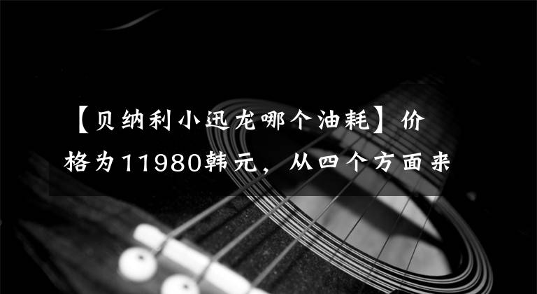 【贝纳利小迅龙哪个油耗】价格为11980韩元，从四个方面来看，贝纳利入门级街车，100公里油耗2.3L！