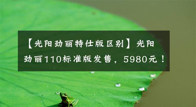 【光阳劲丽特仕版区别】光阳劲丽110标准版发售，5980元！