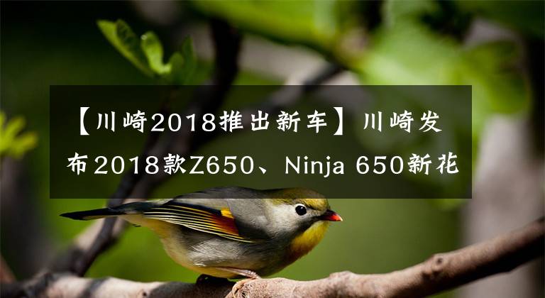 【川崎2018推出新车】川崎发布2018款Z650、Ninja 650新花色