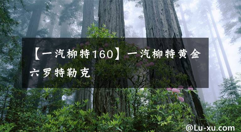 【一汽柳特160】一汽柳特黄金六罗特勒克