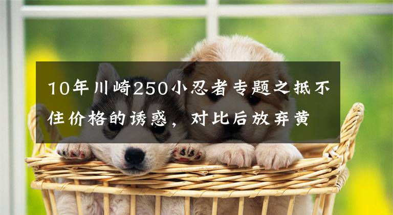 10年川崎250小忍者专题之抵不住价格的诱惑，对比后放弃黄龙300终提川崎小忍者NINJA250SL