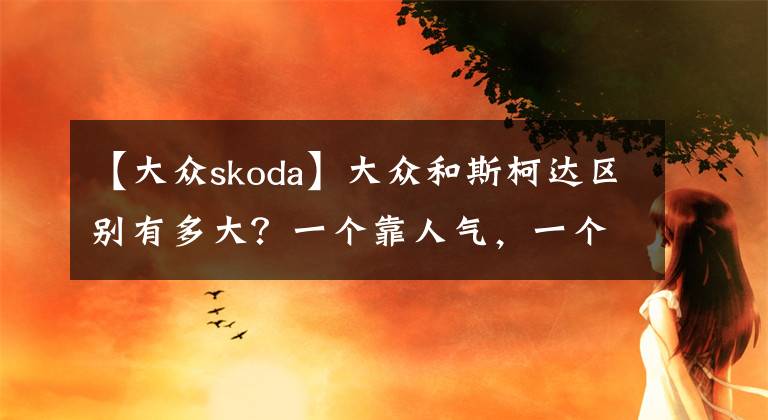 【大众skoda】大众和斯柯达区别有多大？一个靠人气，一个靠技术