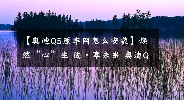 【奥迪Q5原车网怎么安装】焕然“心”生 进·享未来 奥迪Q5 15年型