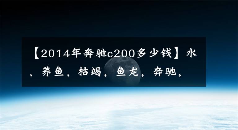 【2014年奔驰c200多少钱】水，养鱼，枯竭，鱼龙，奔驰，新的C级售价。