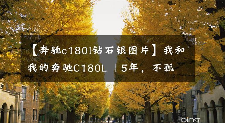 【奔驰c180l钻石银图片】我和我的奔驰C180L  | 5年，不孤独，难以丢弃，彼此相爱，安全