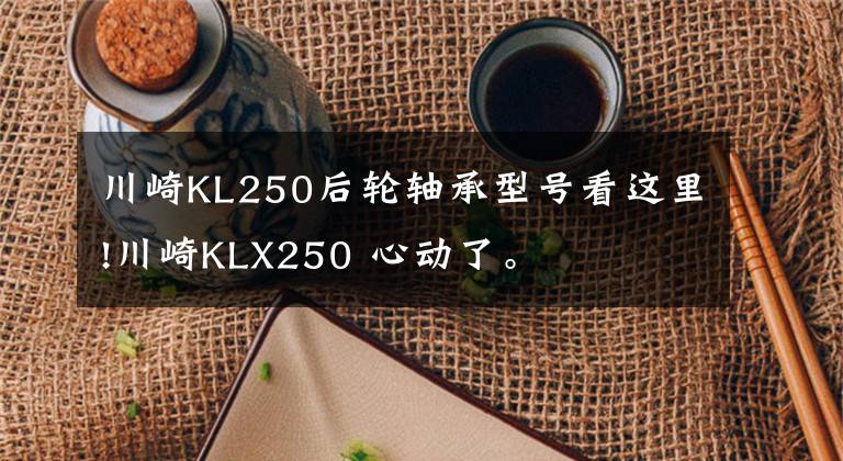 川崎KL250后轮轴承型号看这里!川崎KLX250 心动了。