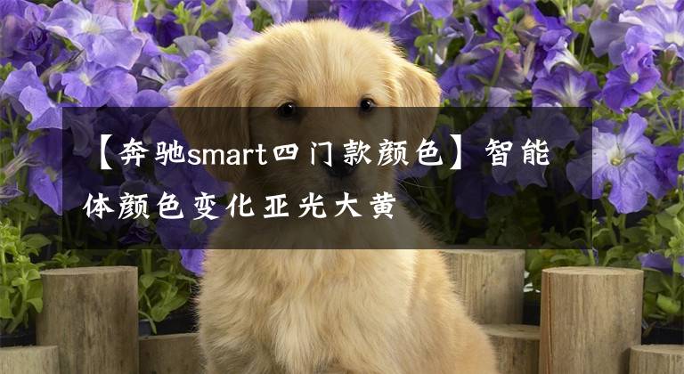 【奔驰smart四门款颜色】智能体颜色变化亚光大黄