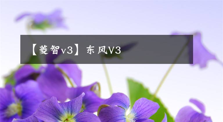 【菱智v3】东风V3