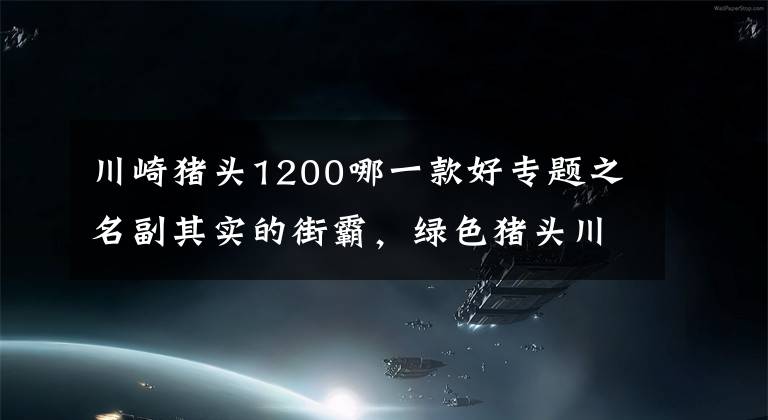 川崎猪头1200哪一款好专题之名副其实的街霸，绿色猪头川崎ZRX1100