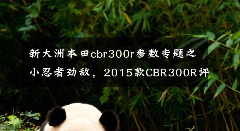 新大洲本田cbr300r参数专题之小忍者劲敌，2015款CBR300R评测！
