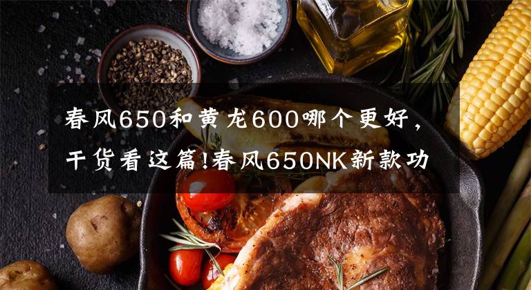 春风650和黄龙600哪个更好，干货看这篇!春风650NK新款功率缩水？ 对上改款黄龙600胜算几何？