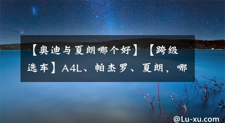 【奥迪与夏朗哪个好】【跨级选车】A4L、帕杰罗、夏朗，哪个才是你追求的生活方式？