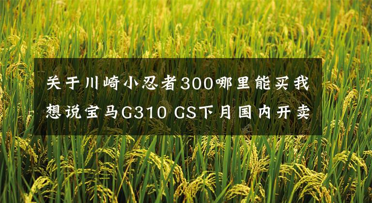 关于川崎小忍者300哪里能买我想说宝马G310 GS下月国内开卖，售5.1万，直接对标川崎Versys300X