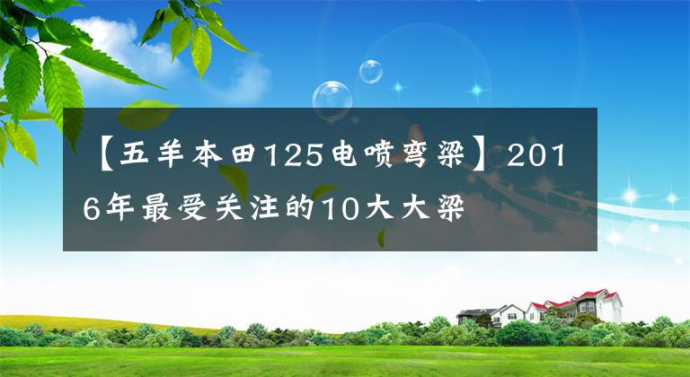 【五羊本田125电喷弯梁】2016年最受关注的10大大梁