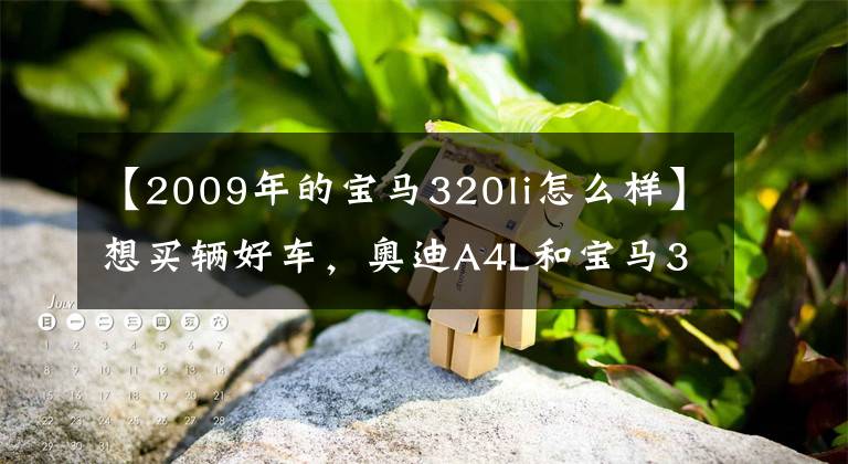 【2009年的宝马320li怎么样】想买辆好车，奥迪A4L和宝马320Li到底该选什么车？