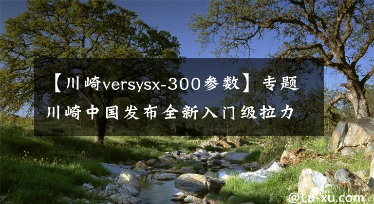 【川崎versysx-300参数】专题川崎中国发布全新入门级拉力车Versys-X300售价：47500元起