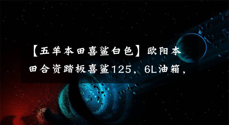 【五羊本田喜鲨白色】欧阳本田合资踏板喜鲨125，6L油箱，皮带传动，新品6580韩元