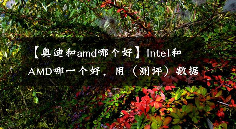 【奥迪和amd哪个好】Intel和AMD哪一个好，用（测评）数据来说话